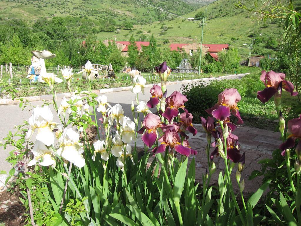 Lucytour Hotel Hermon ภายนอก รูปภาพ